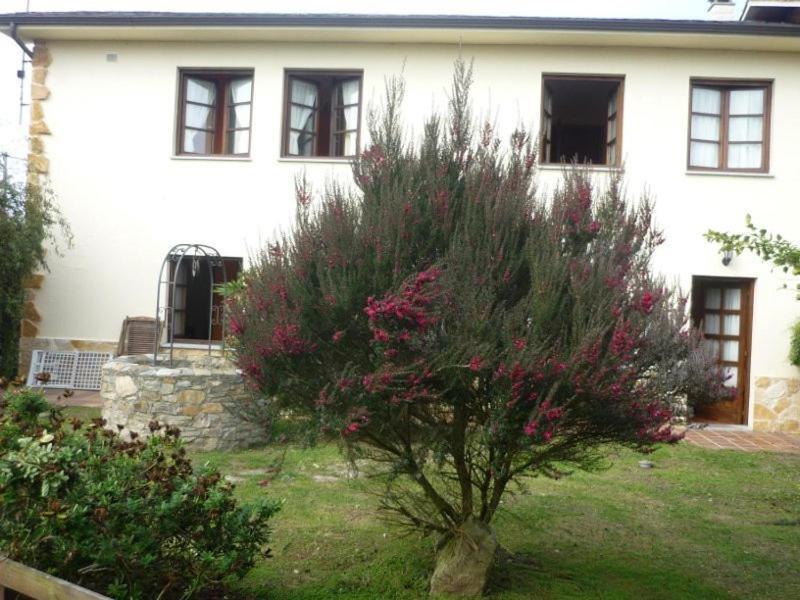 Apartamentos Rurales La Caramba Lamuno Eksteriør bilde